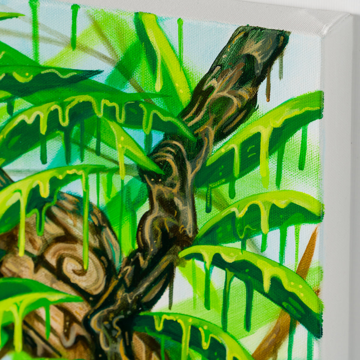 BOX ORI WWL 33206 Band Of Gold 4 