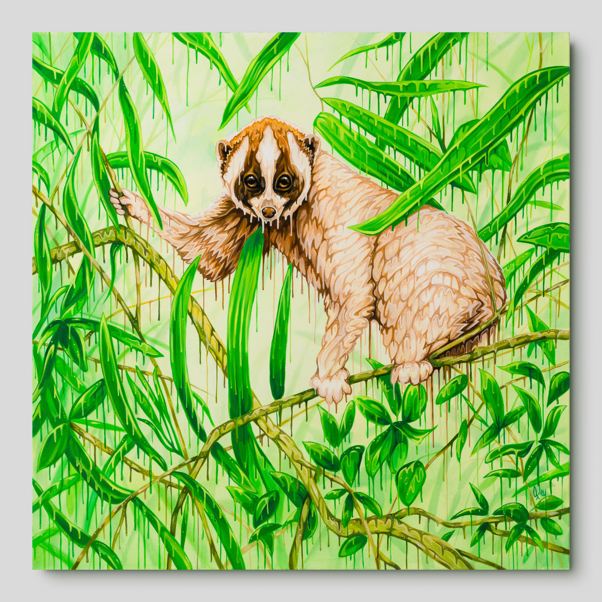 BOX ORI WWL 33207 Manyana 1 