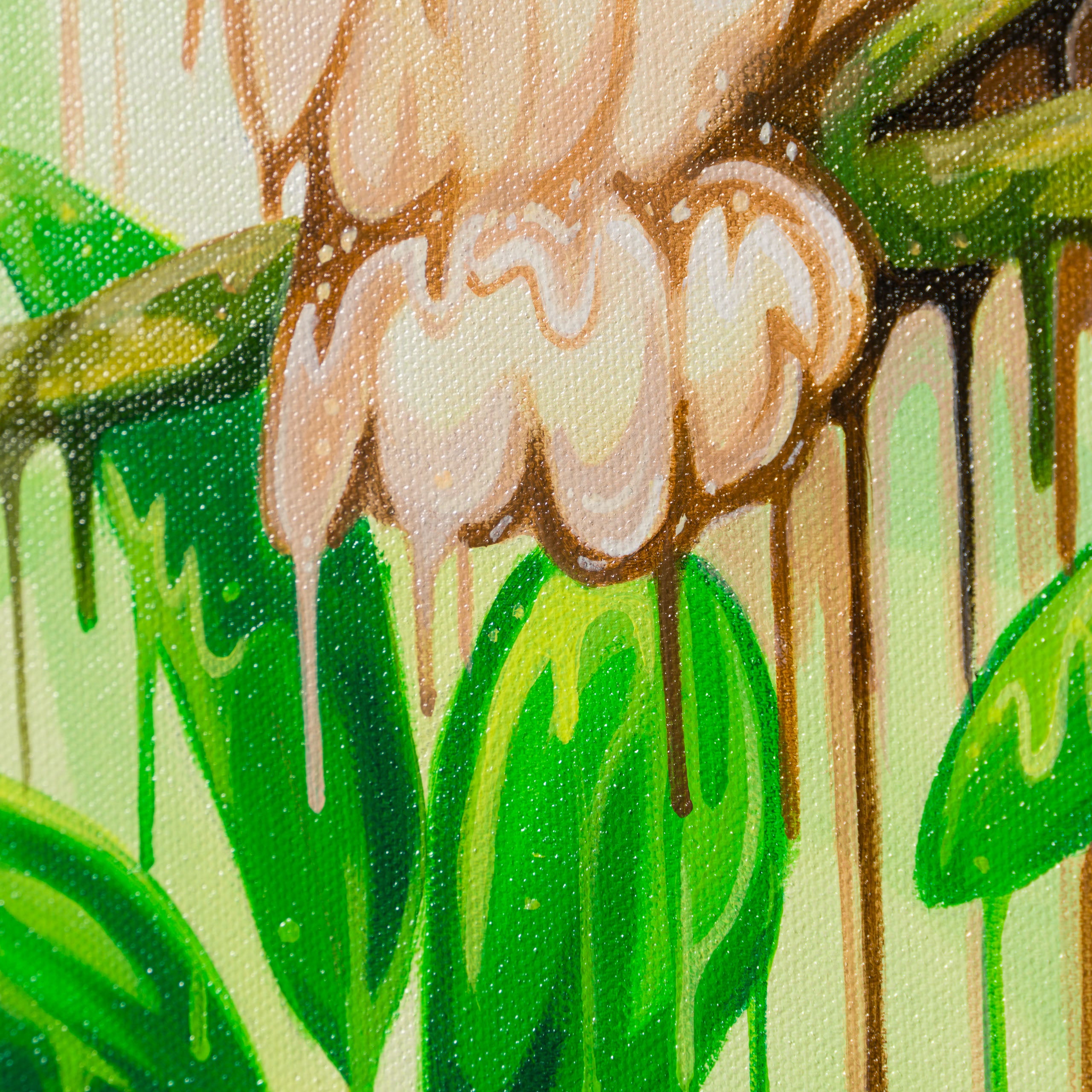 BOX ORI WWL 33207 Manyana 6 