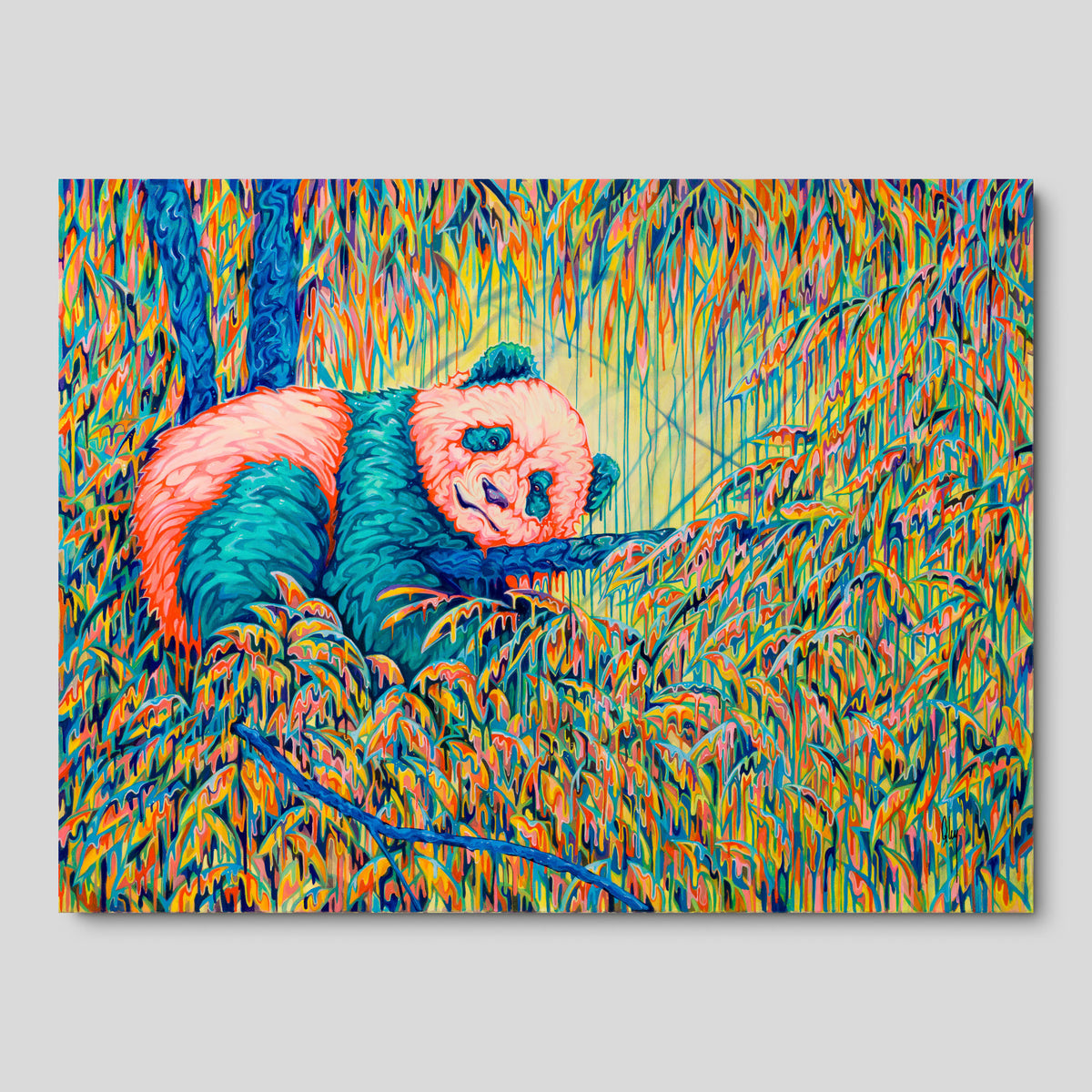 BOX ORI WWL 33211 A New Level 1 