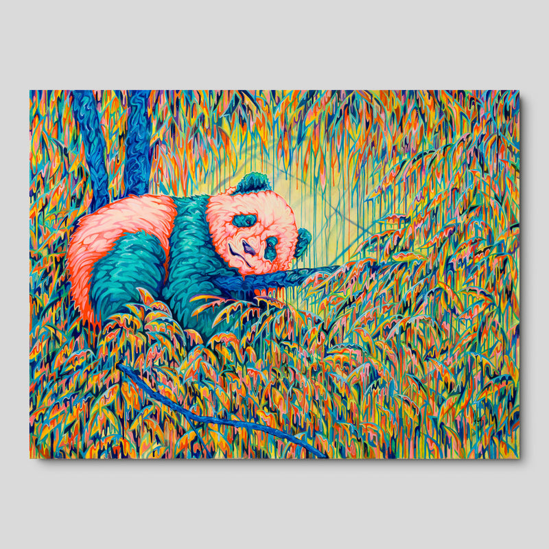 BOX ORI WWL 33211 A New Level 1 