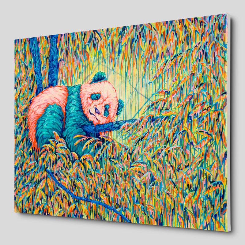 BOX ORI WWL 33211 A New Level 2 