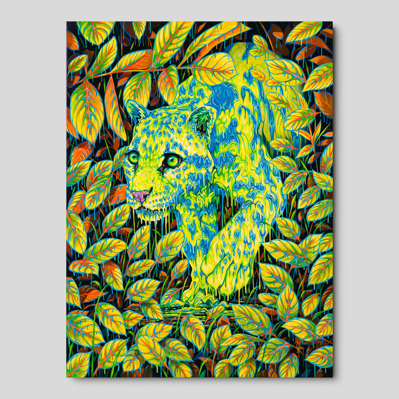 BOX ORI WWL 34672 I Hope You Find the Good Life 1 