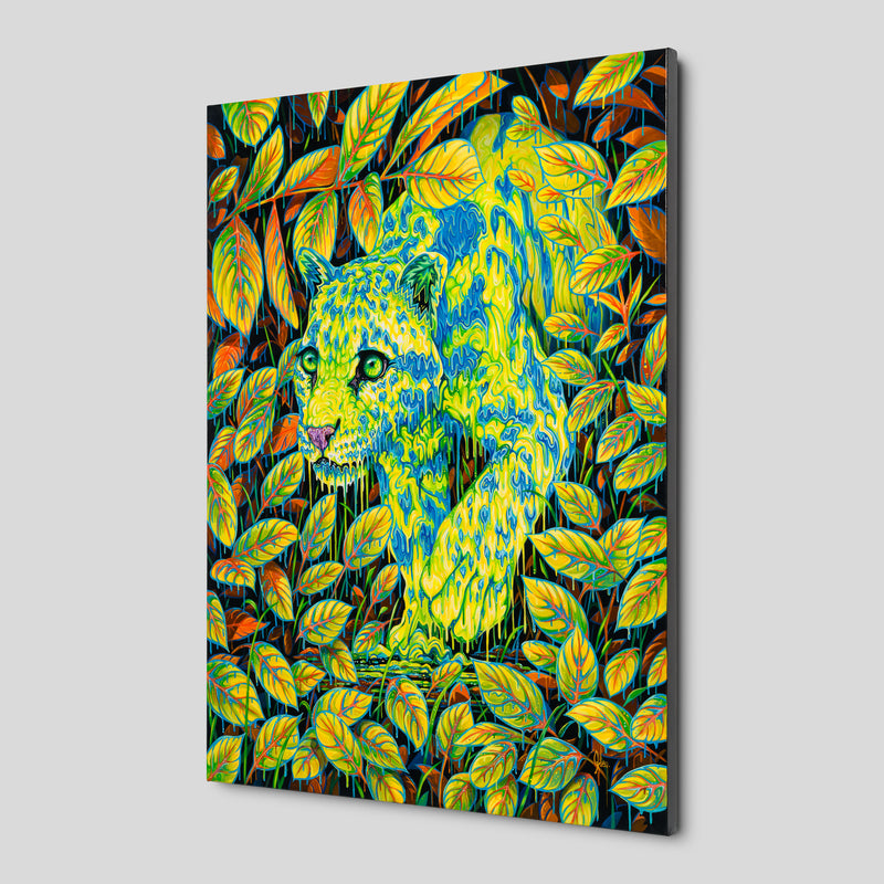 BOX ORI WWL 34672 I Hope You Find the Good Life 2 