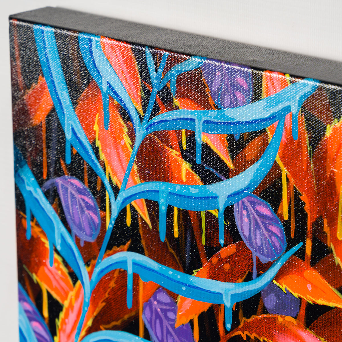 BOX ORI WWL 34673 It s Good to Be Free 5 