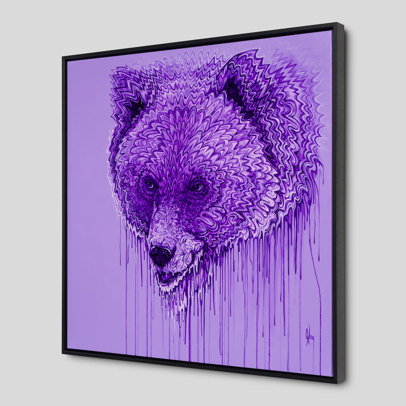 BOX ORI WWL 35135 Say No More 2 