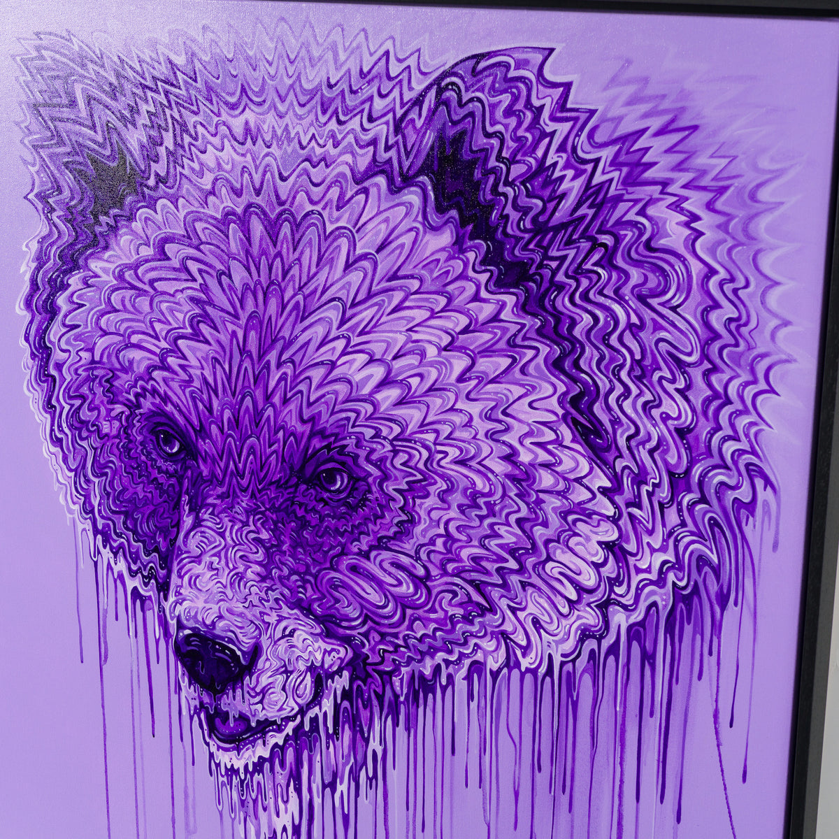 BOX ORI WWL 35135 Say No More 7 