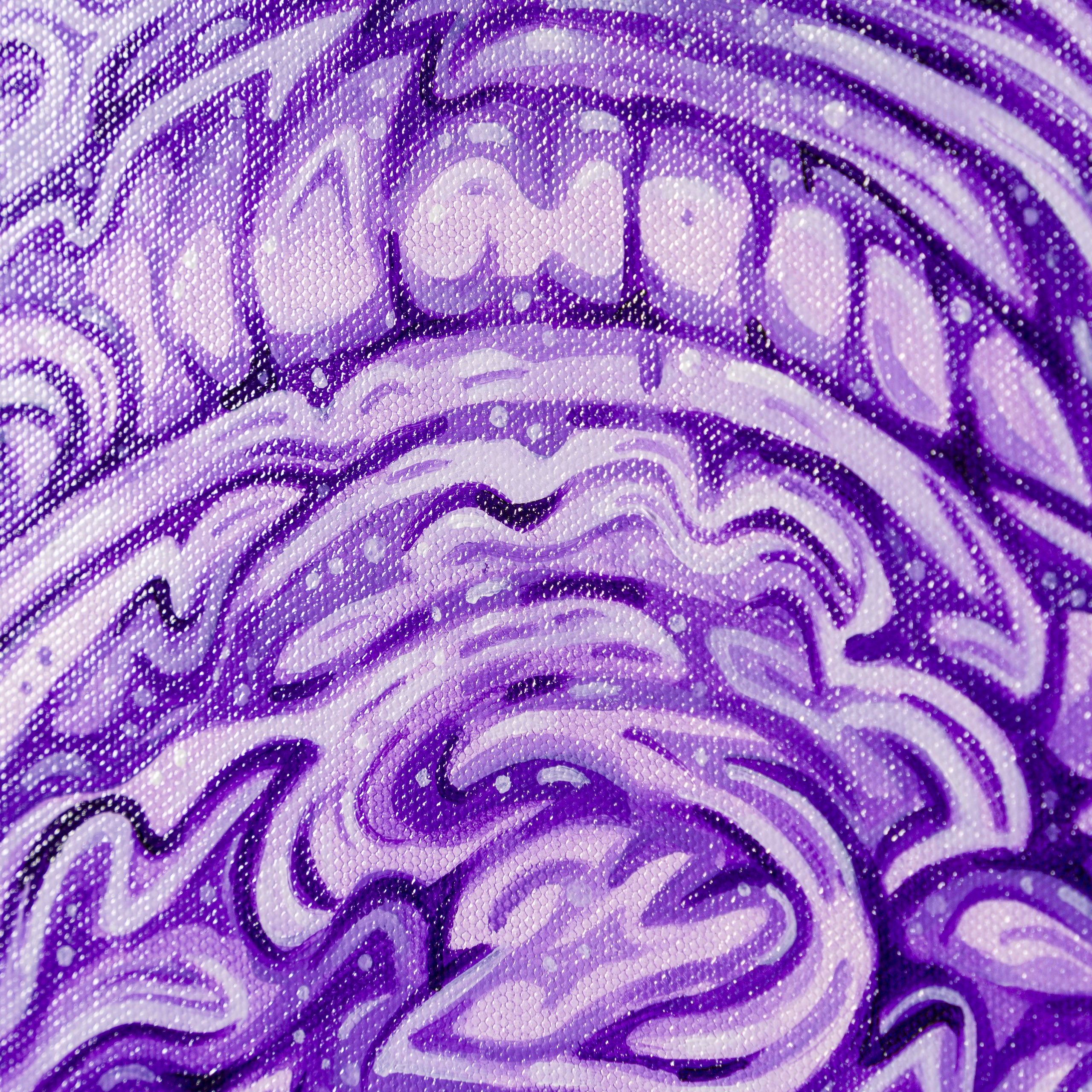 BOX ORI WWL 35137 Let s Get Lost 7 