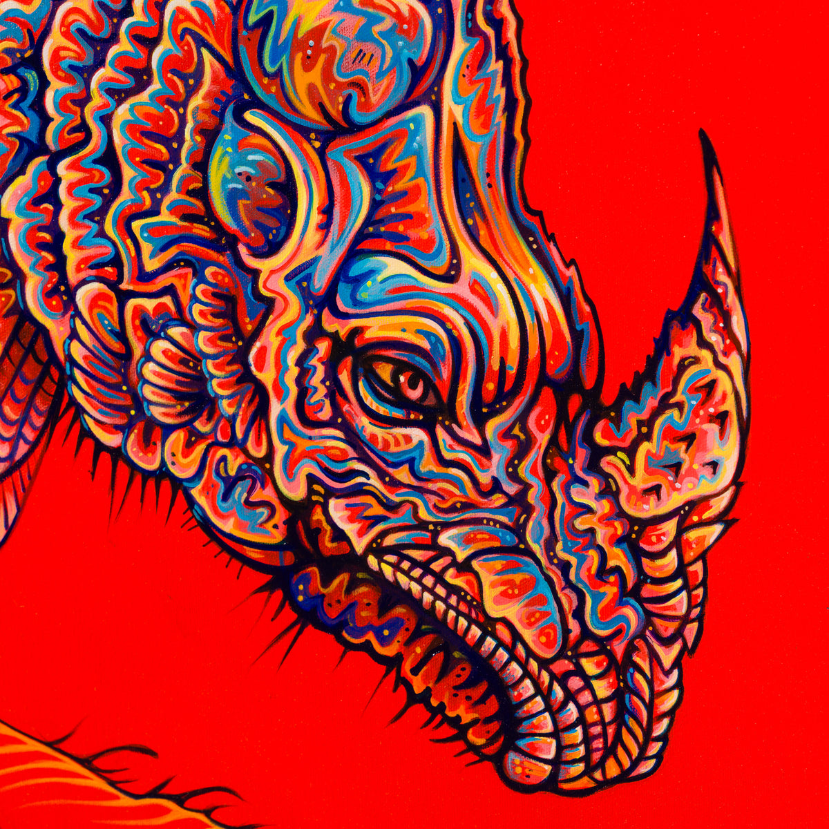 BOX ORI WWL 35622 After Durer 4 