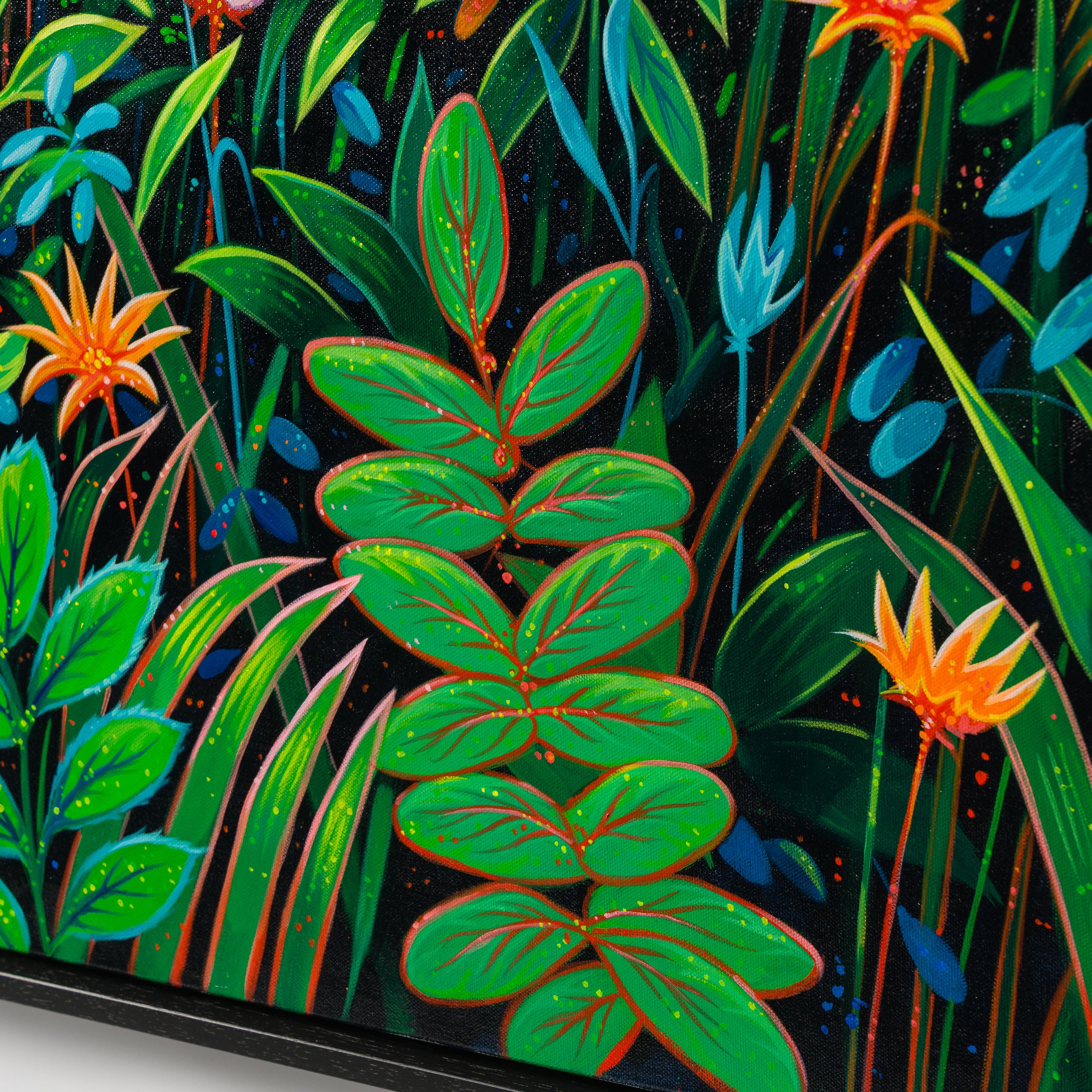 The Dream Belongs To The Dreamer