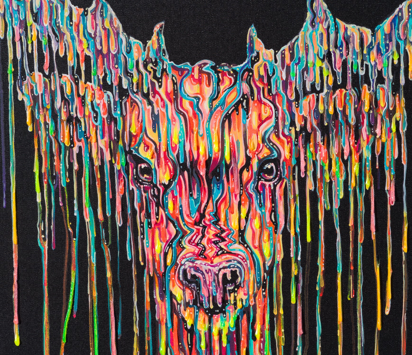 BOX SLE WWL 13571 6 Ruru 