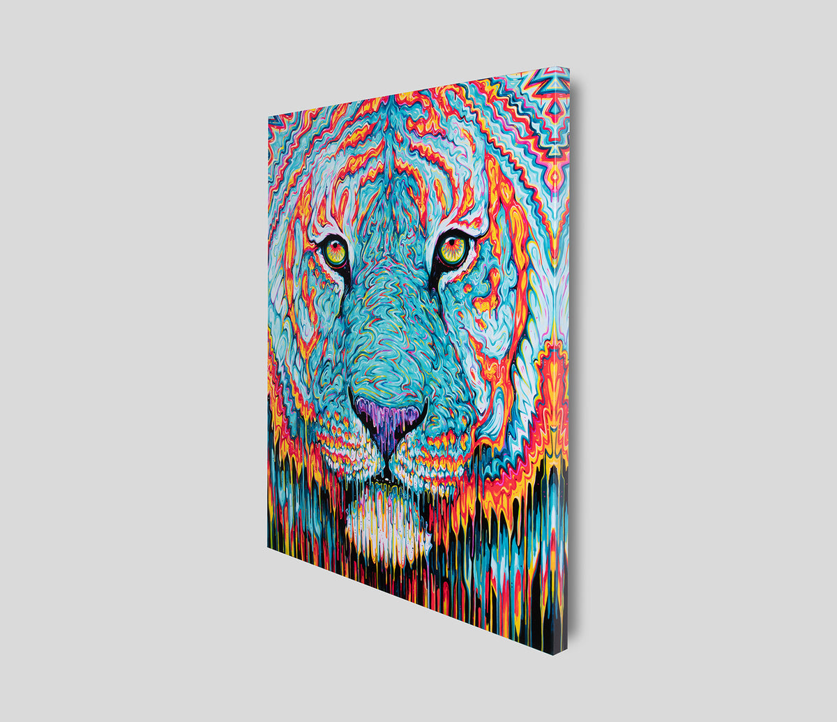  BOX SLE WWL 26477 2 SPECTRE 