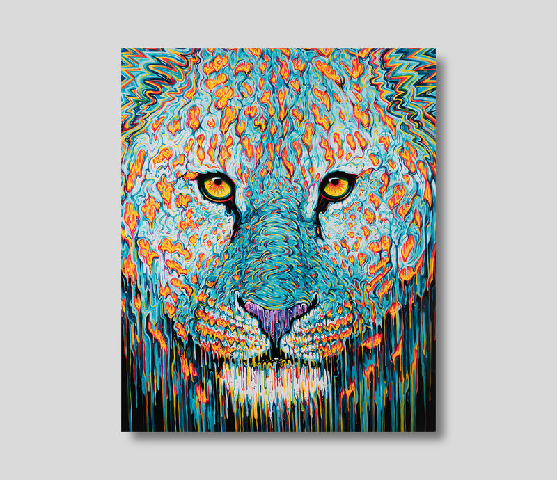 BOX SLE WWL 26478 1 SPIRIT 