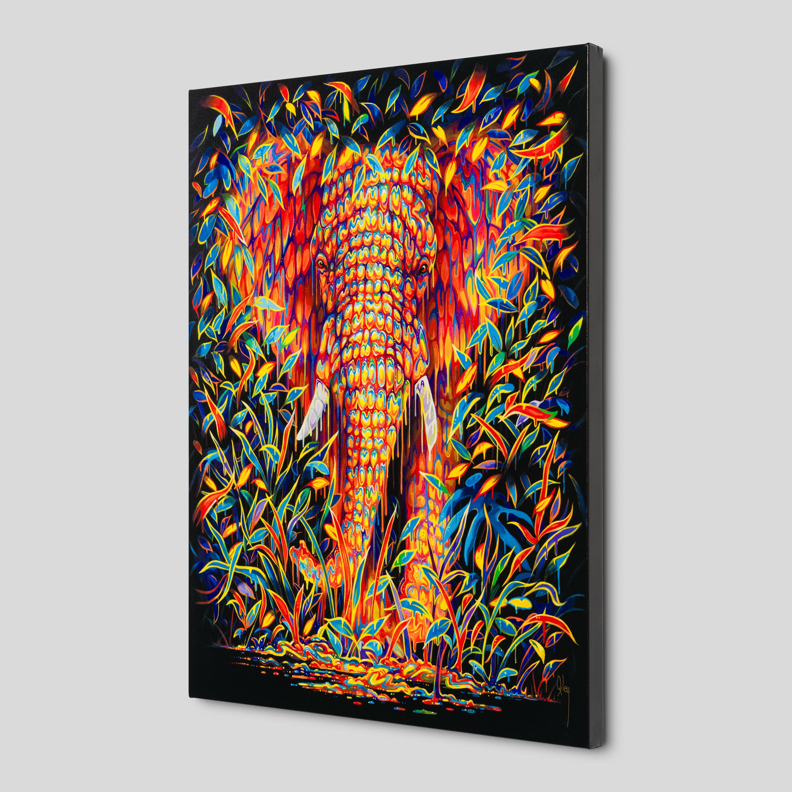 BOX SLE WWL 34163 Gardenia 2 