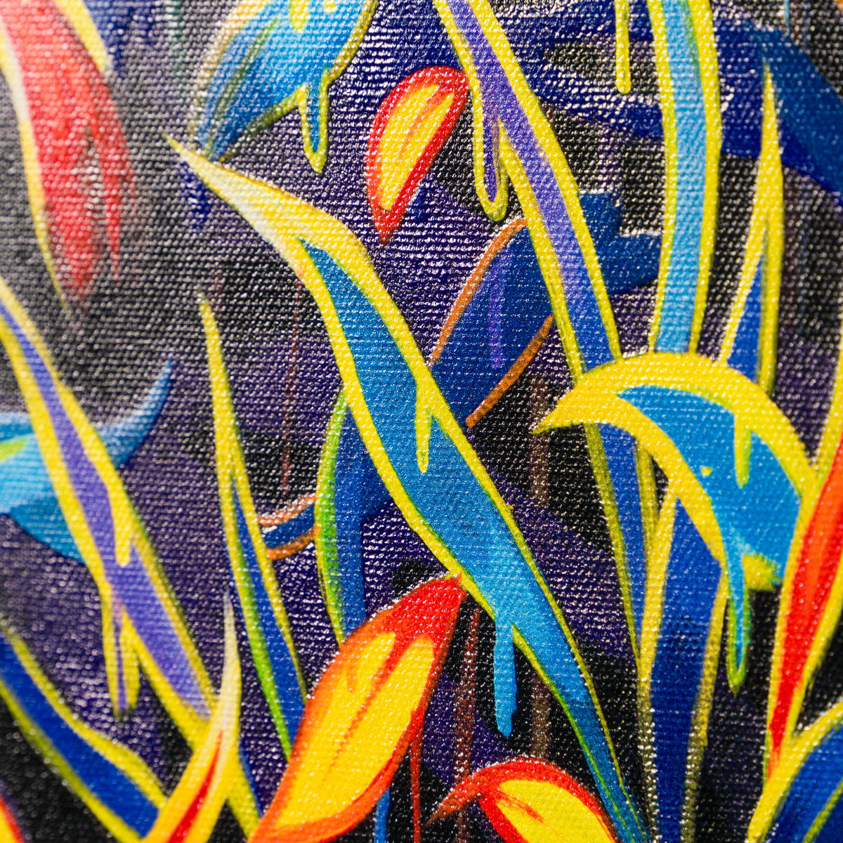 BOX SLE WWL 34163 Gardenia 5 