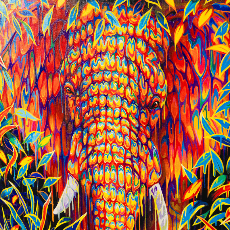 BOX SLE WWL 34163 Gardenia 6 