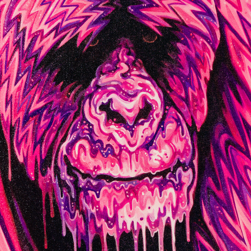 BOX SLE WWL 34164 The Alchemist 4 