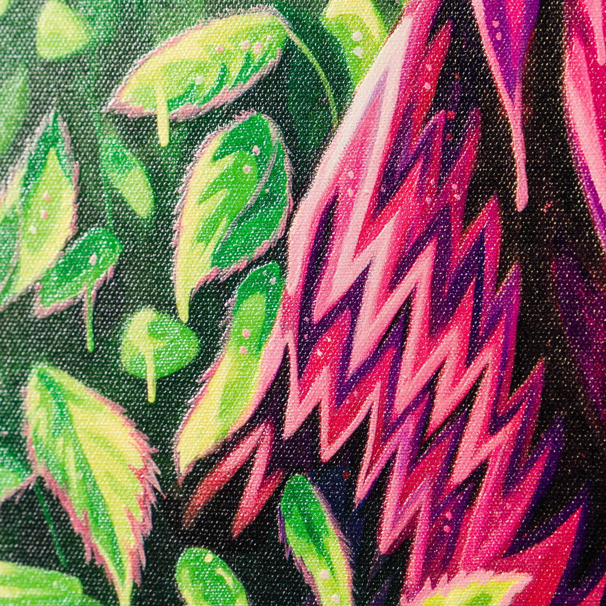 BOX SLE WWL 34164 The Alchemist 5 