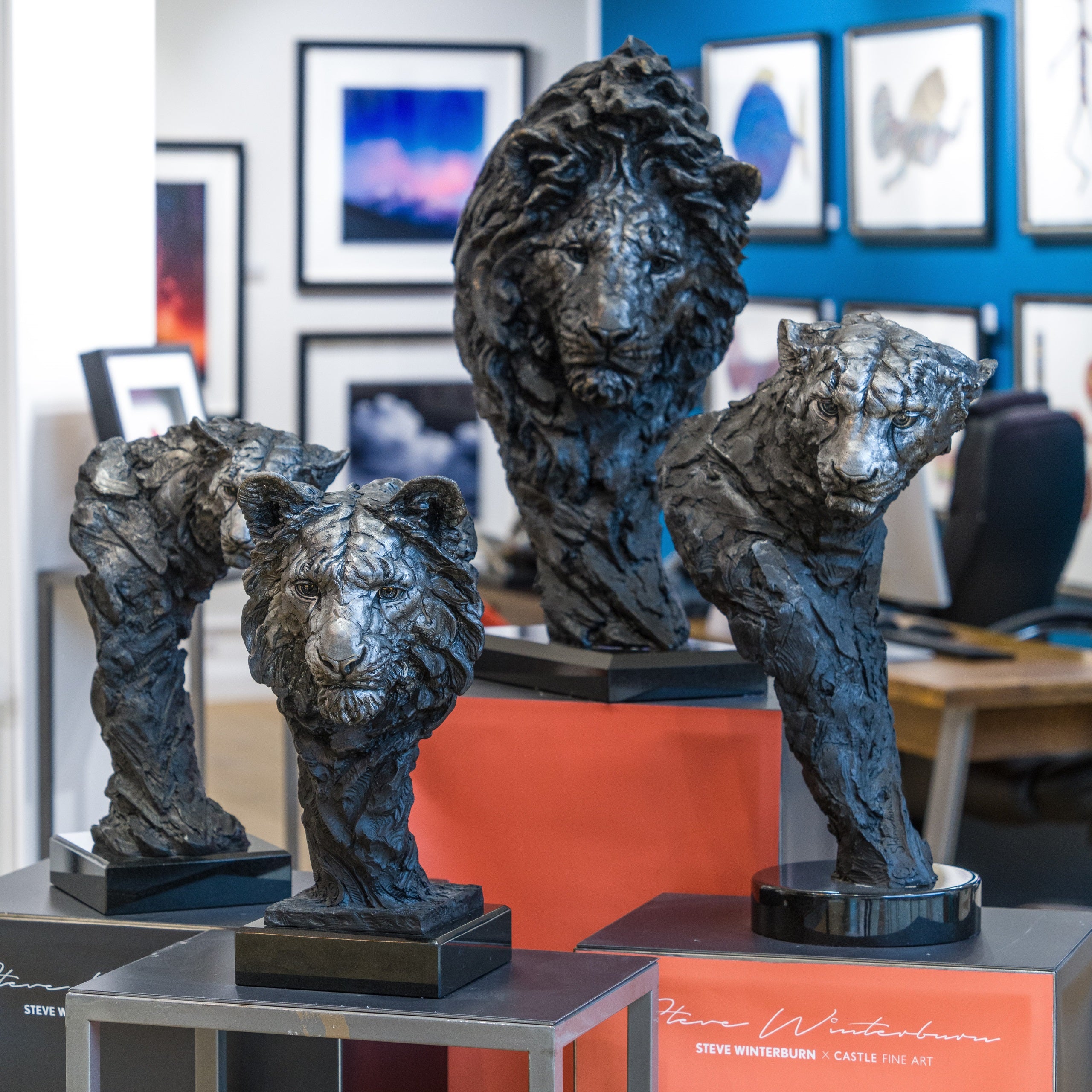 Cambridge Gallery 74 