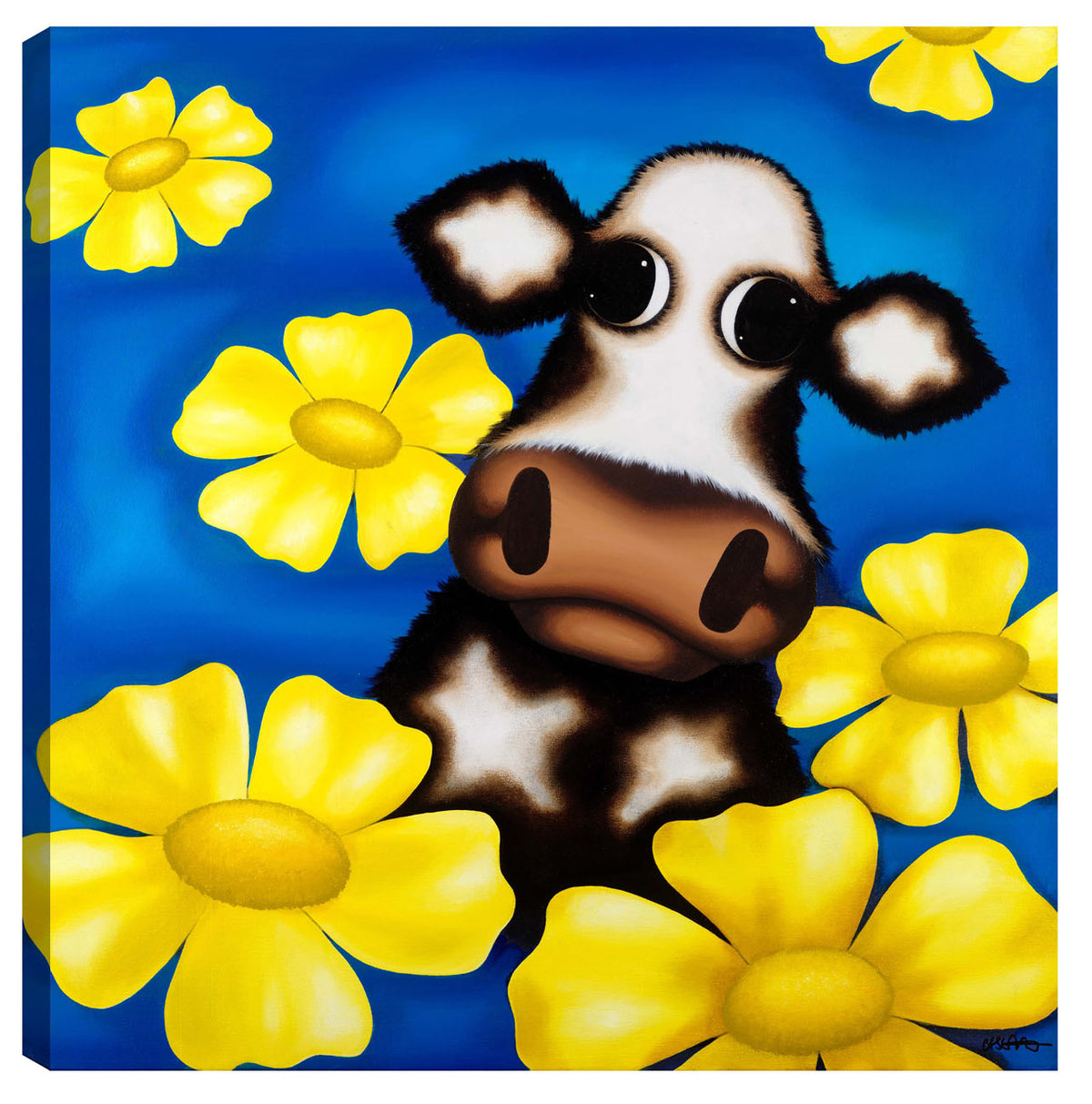 csh buttercup f
