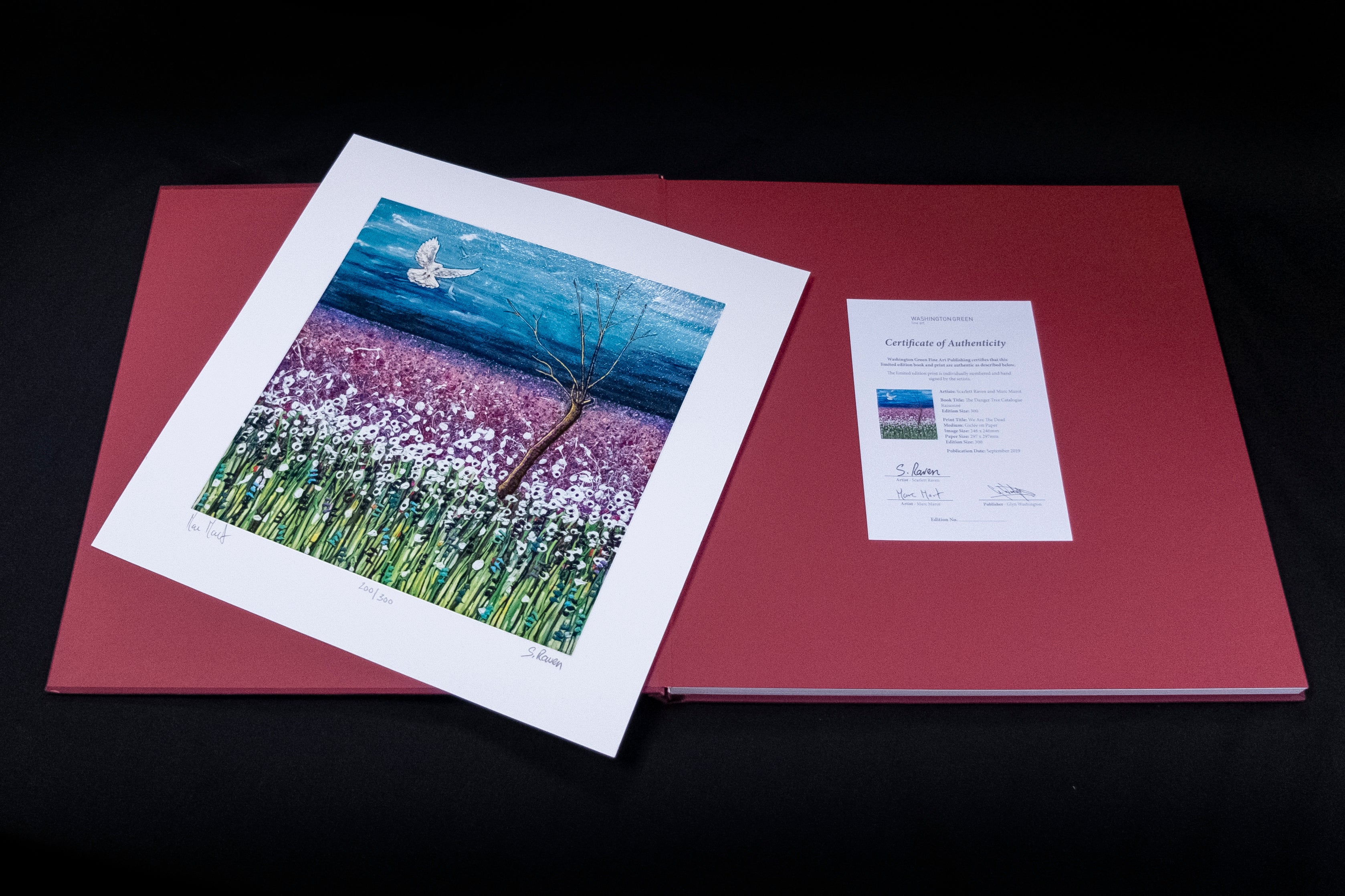 Danger Tree Limited Edition Book 04 