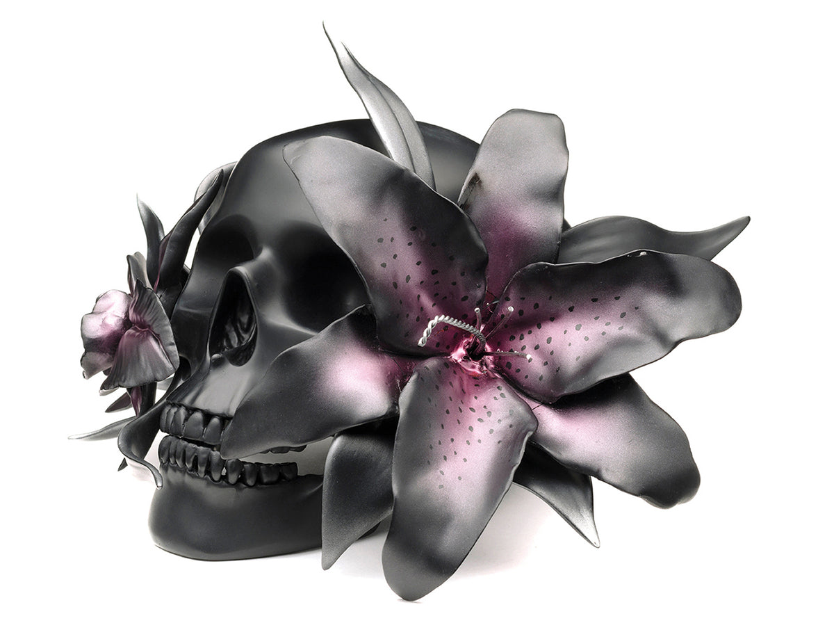 DLA OPEN YOUR SENSES A434343