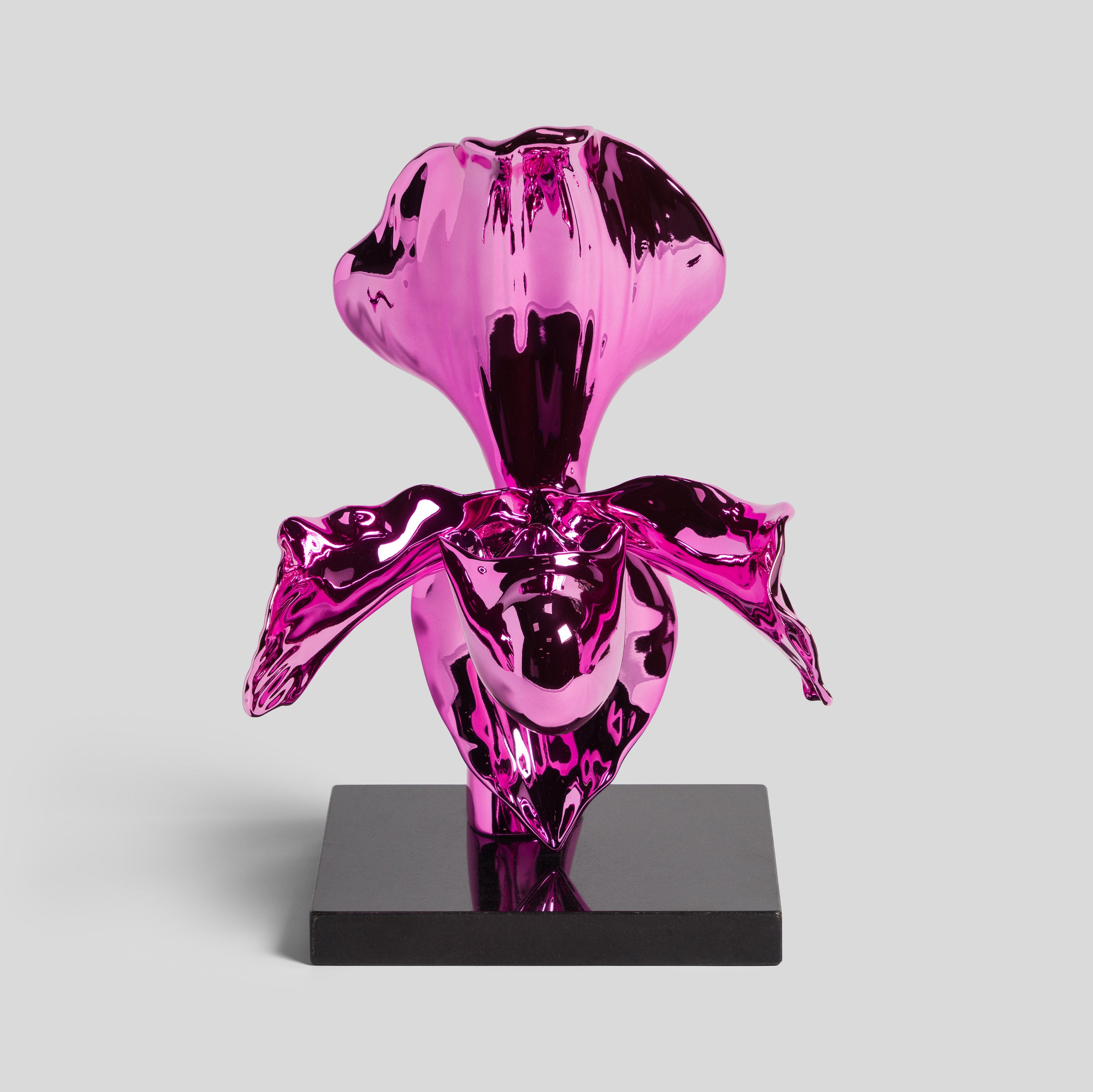 DLN ORI FLO 35389 Paphiopedilum (Pink Chrome) 1 