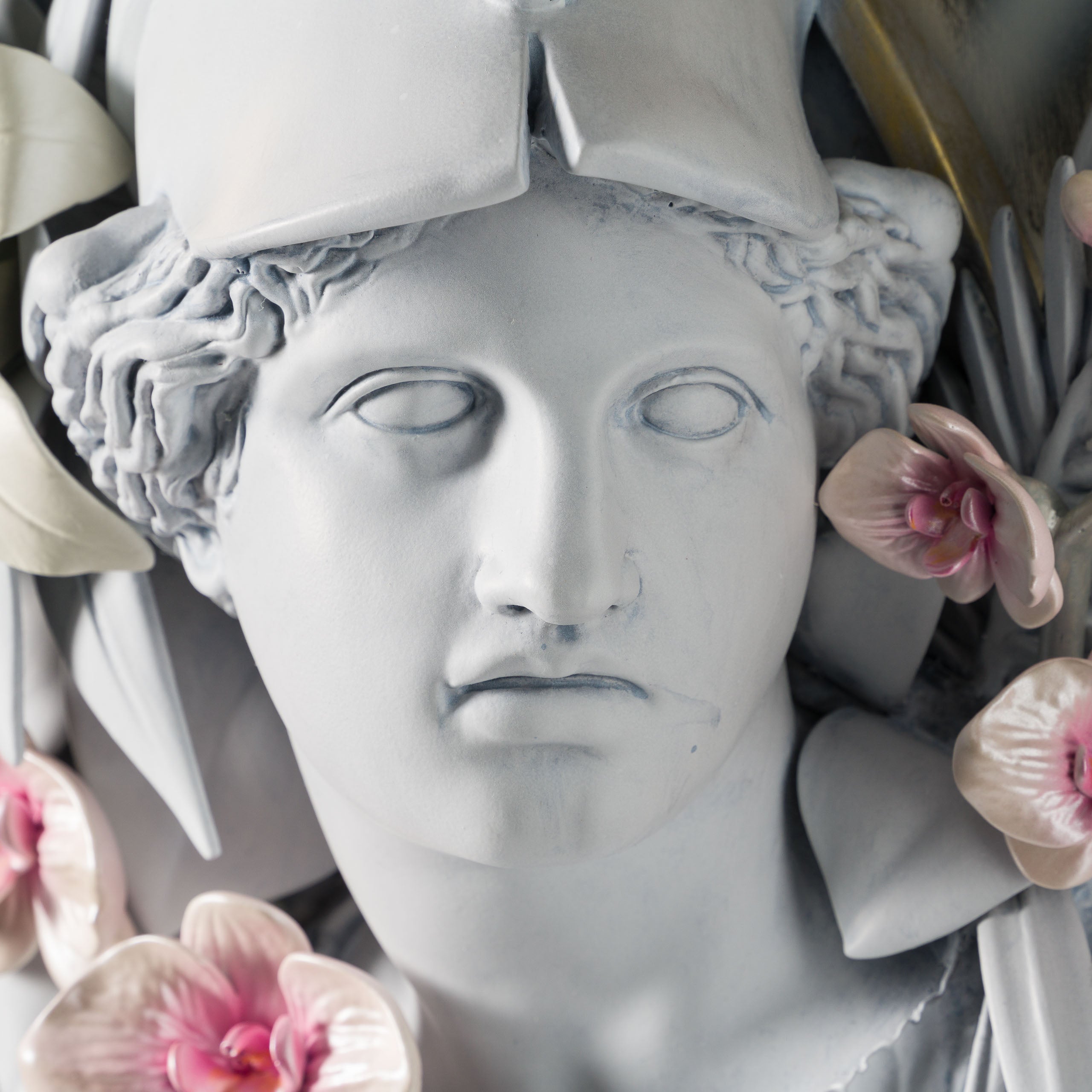 DLN ORI POR 31620 Athena 4 