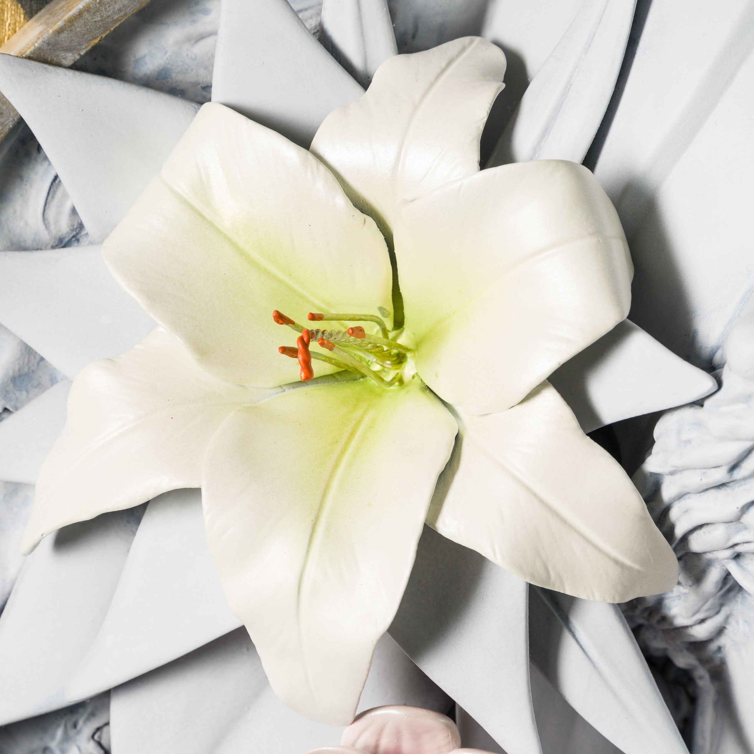 DLN ORI POR 31620 Athena 6 