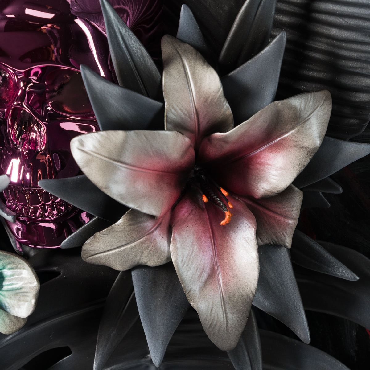 DLN ORI POR 35399 Tropicalis (Night) 4 