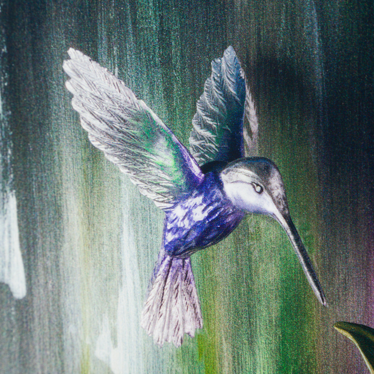 DLN SLE POR 13977 5 The Thin Line Between 