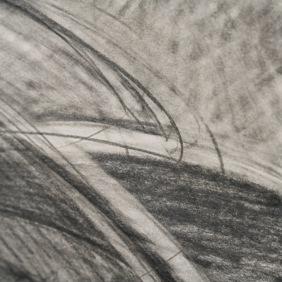 DMA ORI POR 33153 Self Portrait Study II 6 