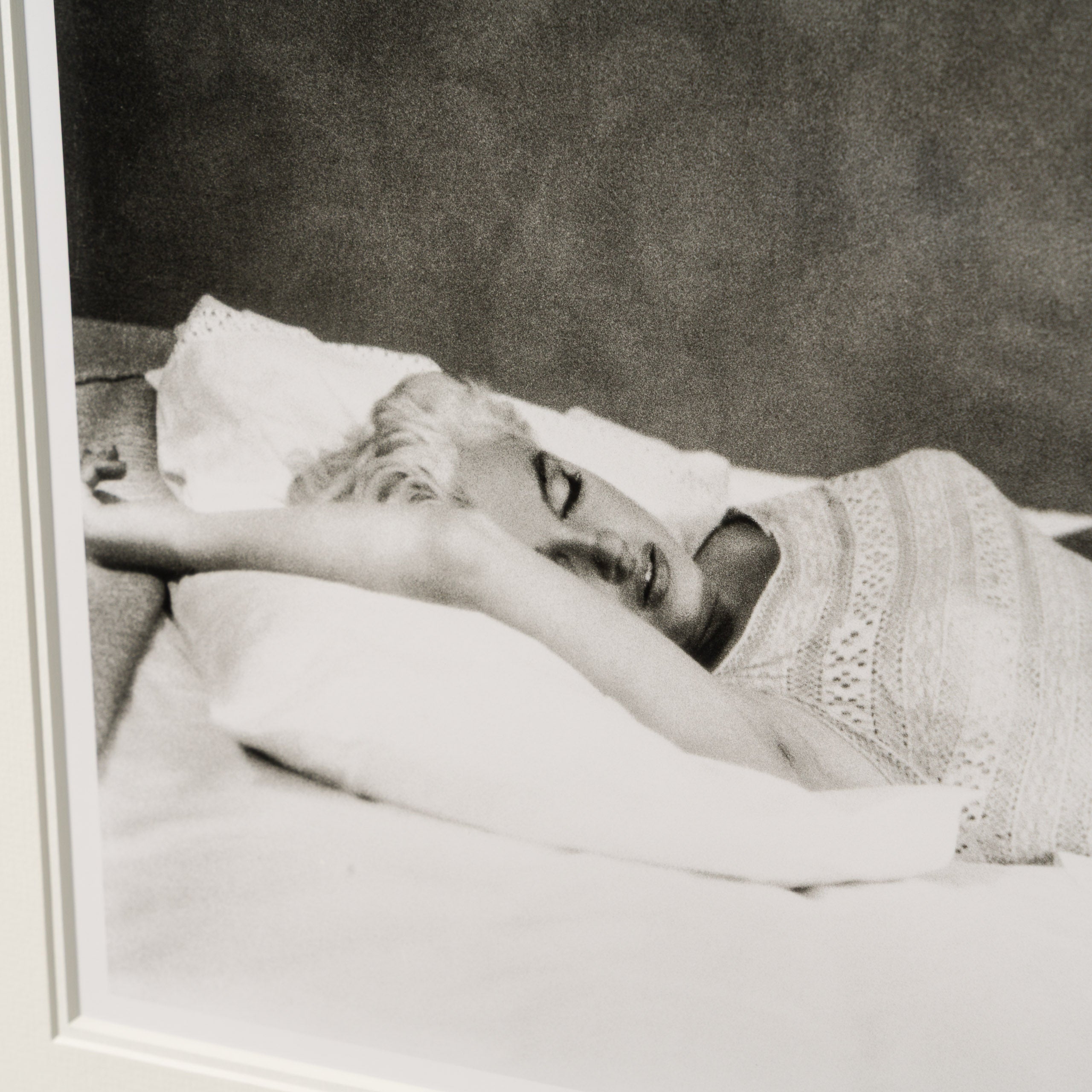 EAR RESTING AFTER A PLANE JOURNEY (23A) SML 3 