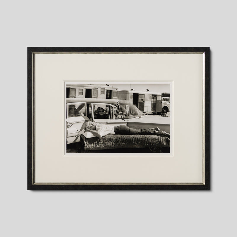 EAR RESTING ON SET OF THE MISFITS (12A) SML 1