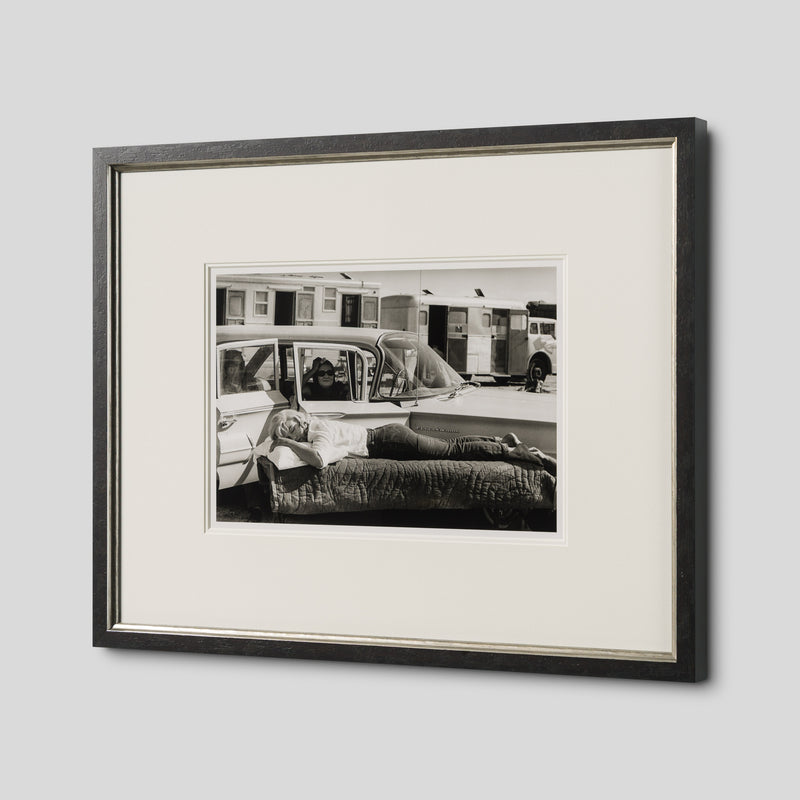 EAR RESTING ON SET OF THE MISFITS (12A) SML 2