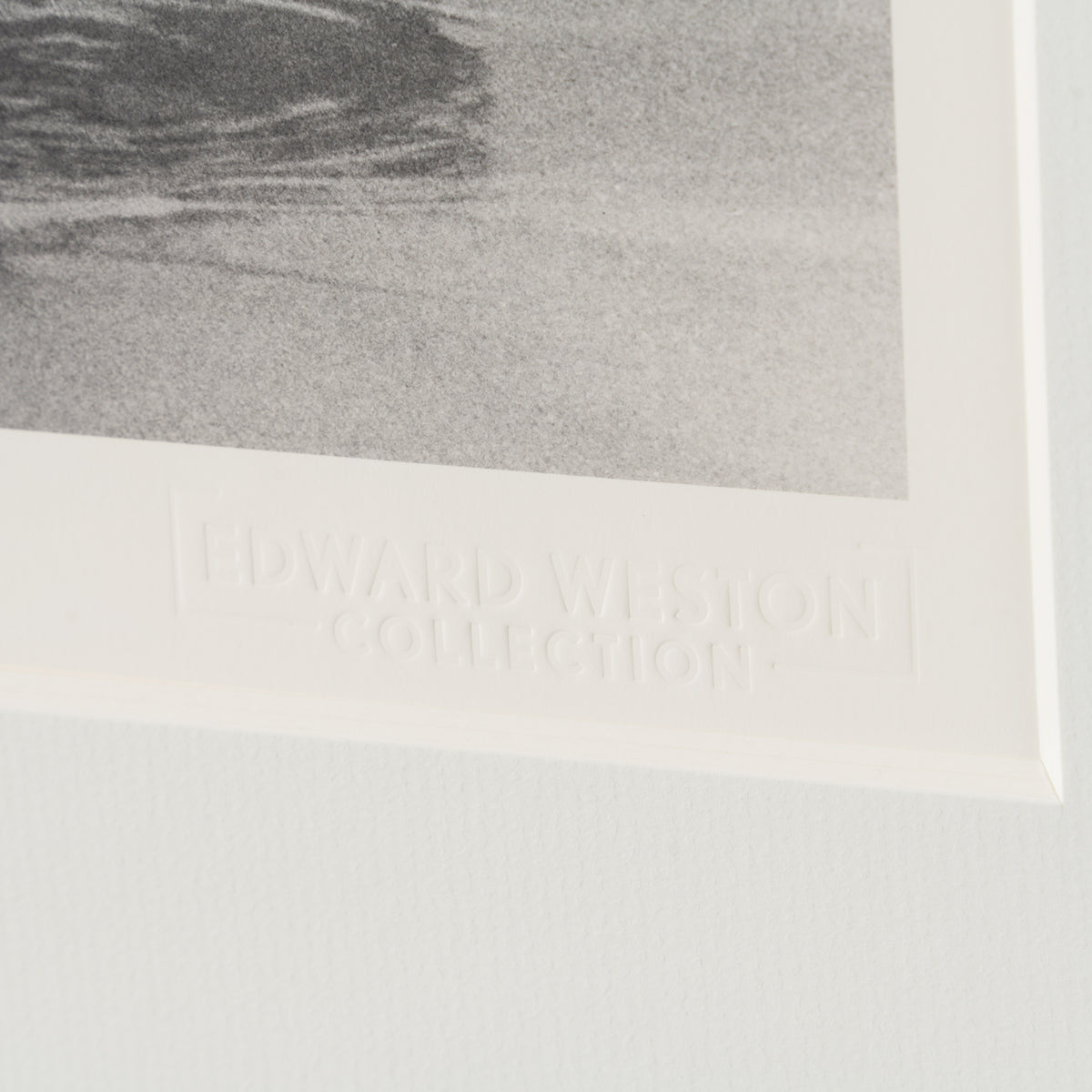 EWC SLE POR 98288 3 Driftwood, Tobay Beach, 1949 