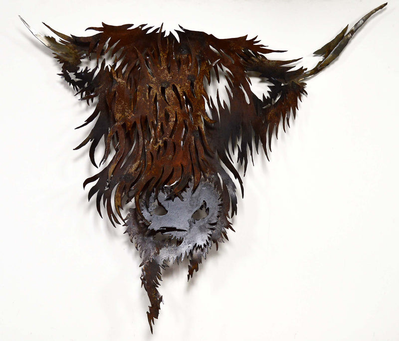 FDA   Highland Cow 1 min 