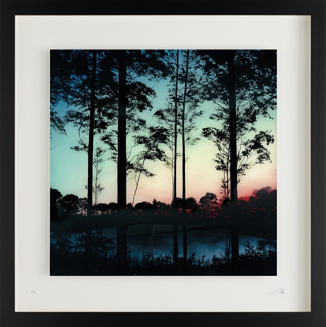 FOCUS ON THE LIGHT FRAMED 