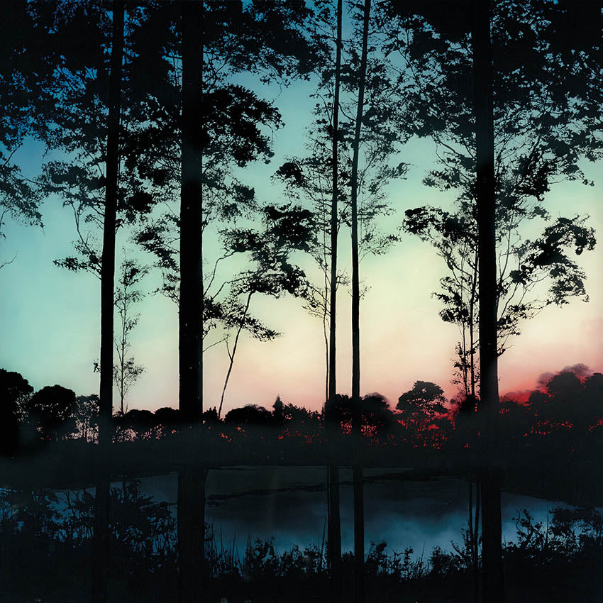 focus on the light   Rowan 