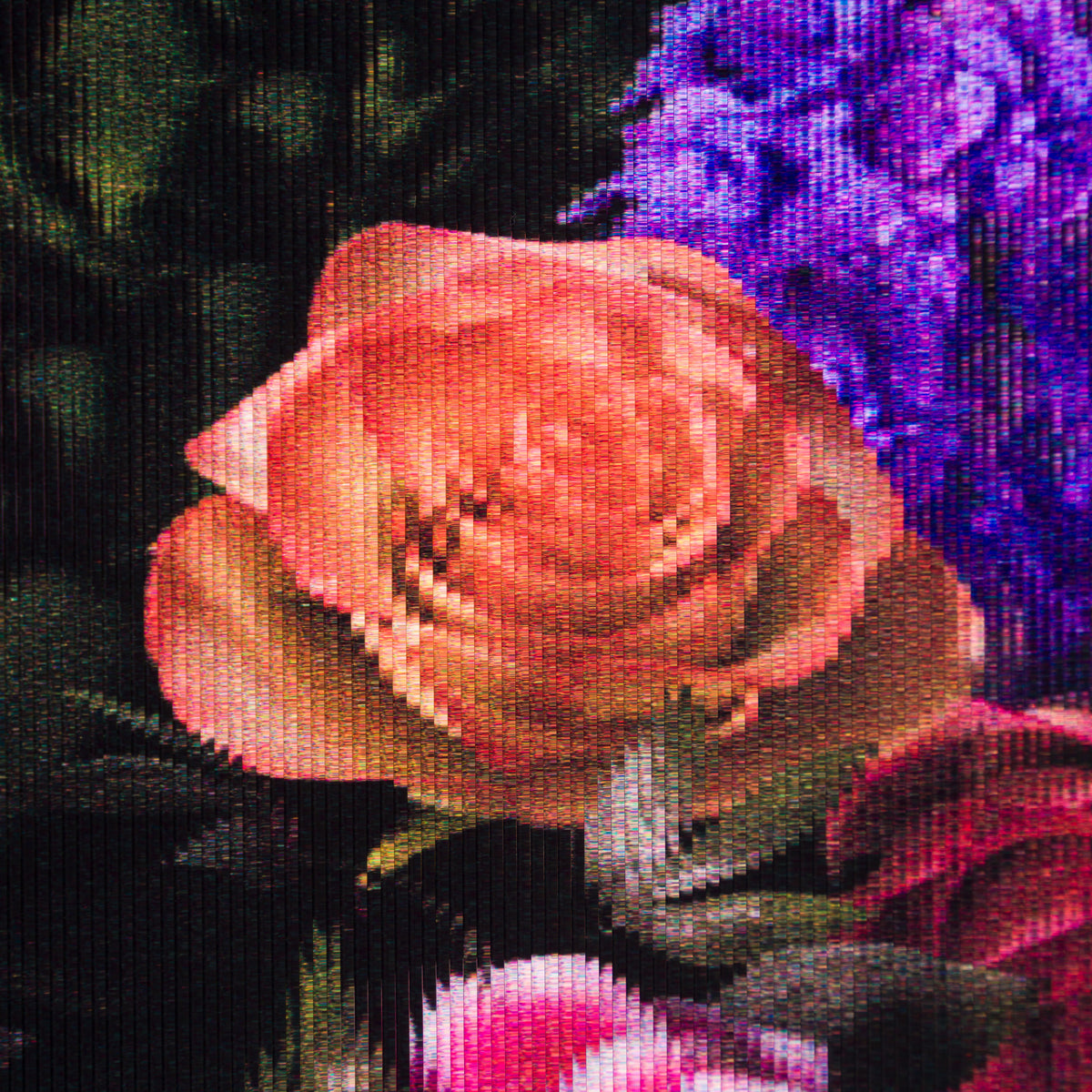 Product image 2 for gary-james-mcqueen-botanic-kingdom-gold