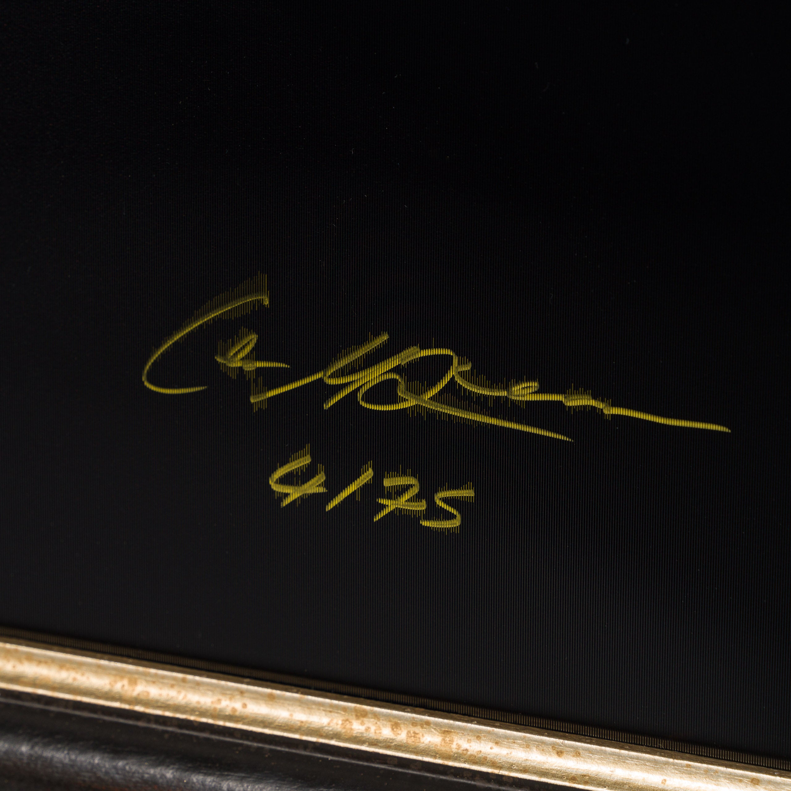 Product image 1 for gary-james-mcqueen-savage-beauty