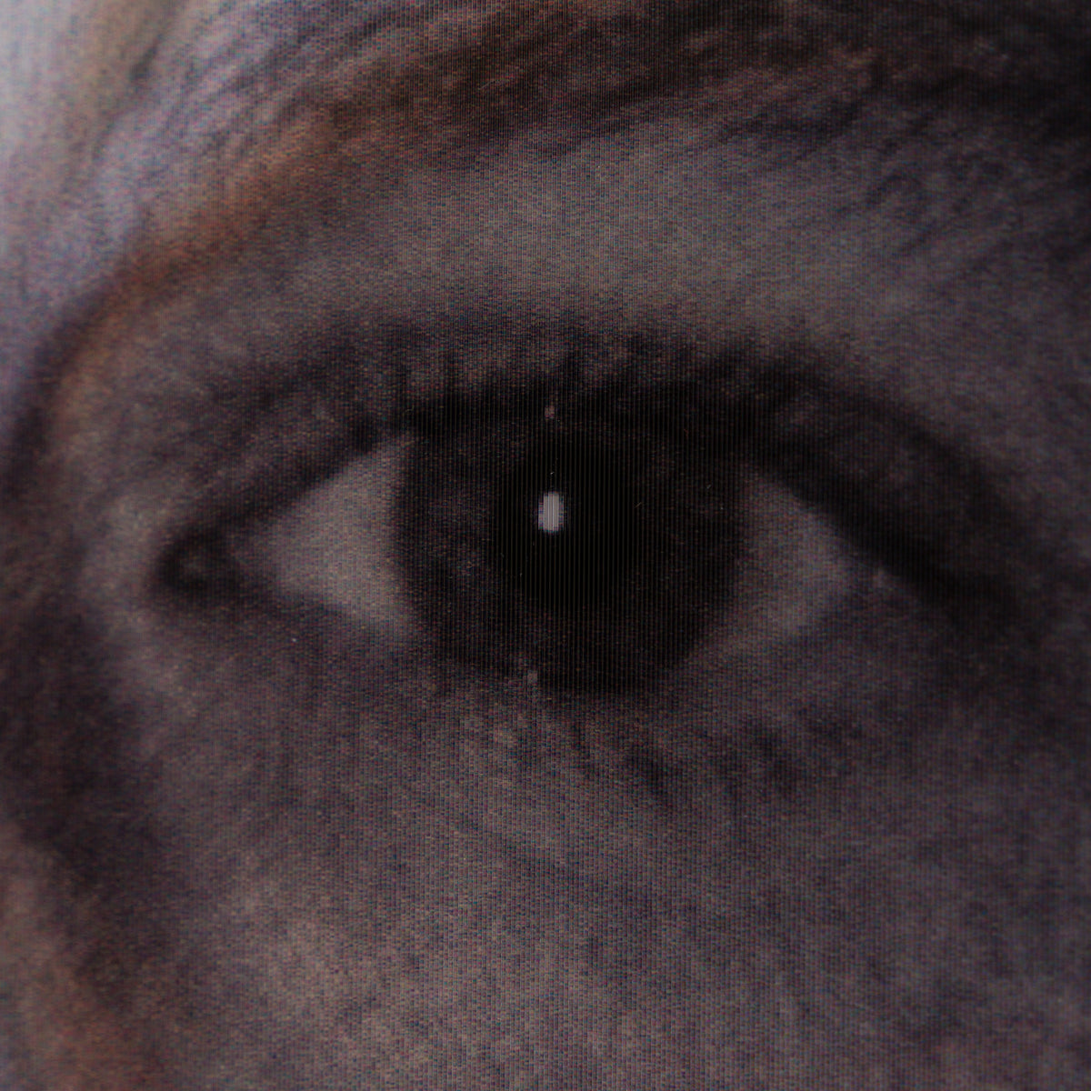 Product image 2 for gary-james-mcqueen-savage-beauty