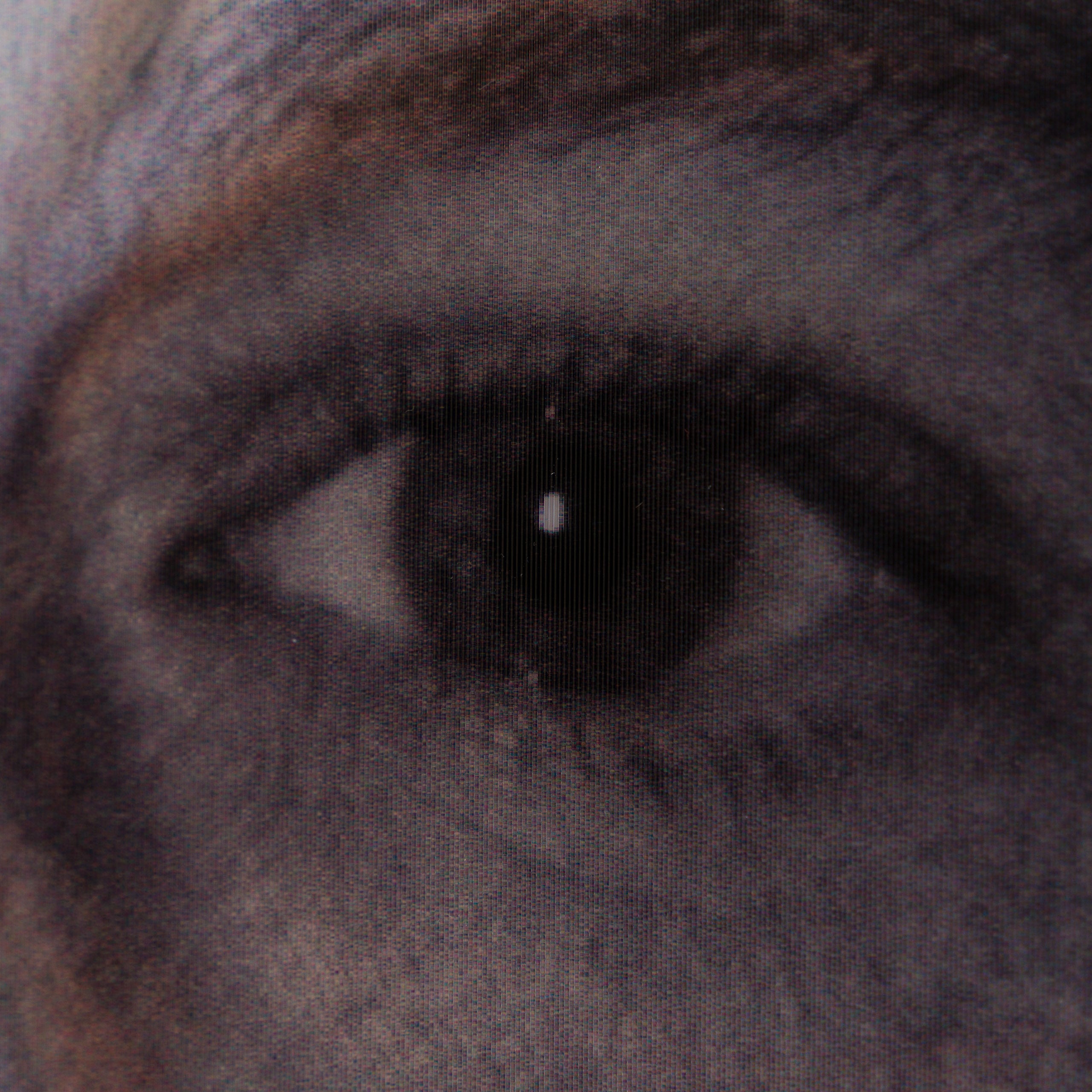 Product image 2 for gary-james-mcqueen-savage-beauty