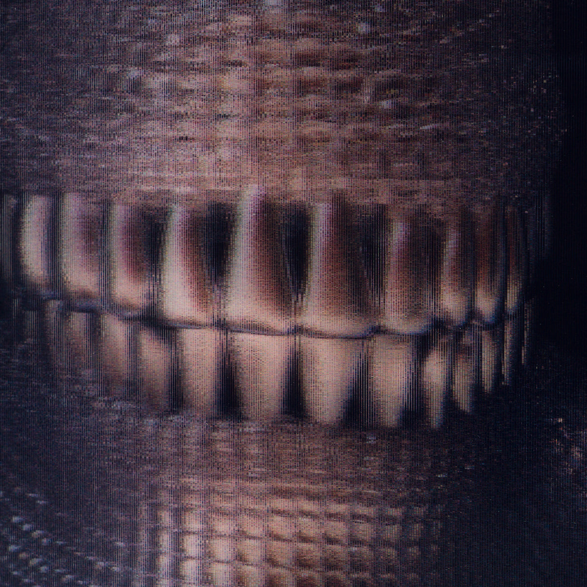 Product image 2 for gary-james-mcqueen-diamond-skull