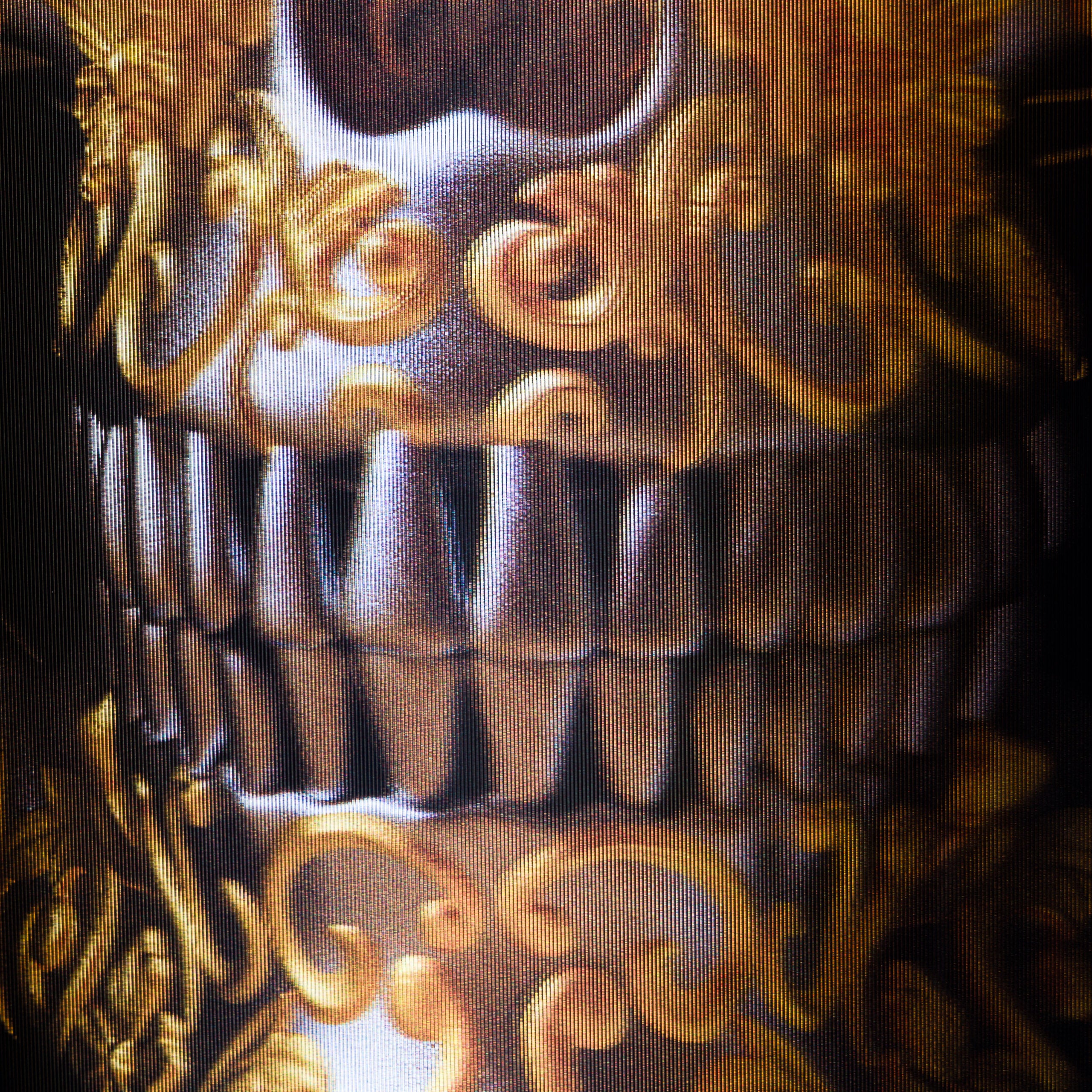 Product image 2 for gary-james-mcqueen-gilded-skull-gold-silver