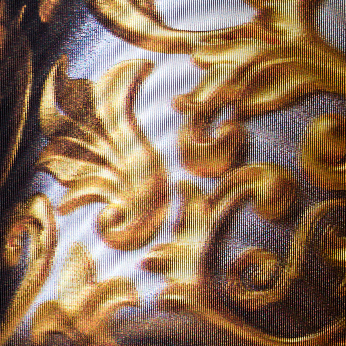 GJM SLE POR 35027 Gilded Skull 6 