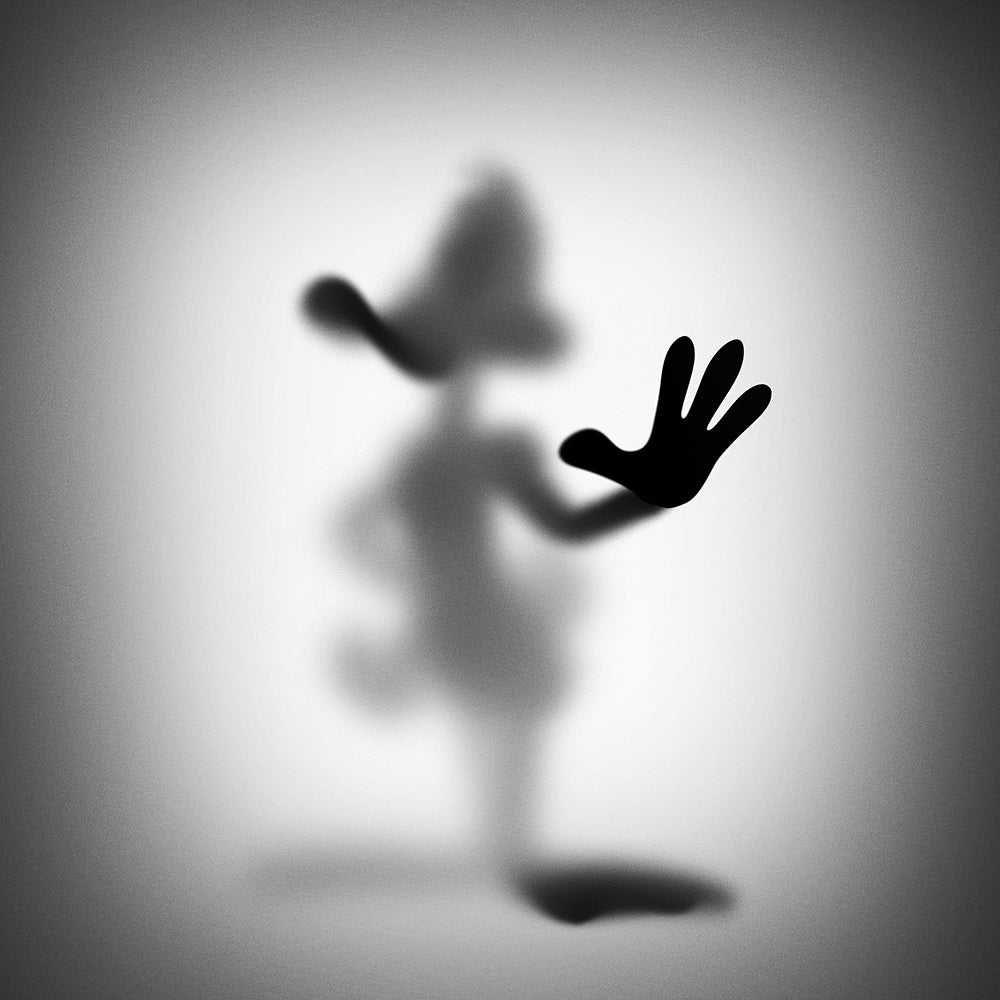 Gone Duck A   low resolution preview 