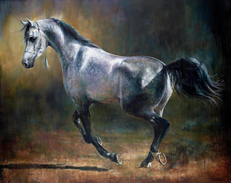 haywood horse 1  arab dance 
