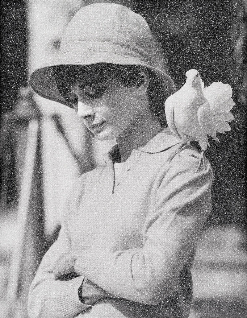 Hepburn With Dove C