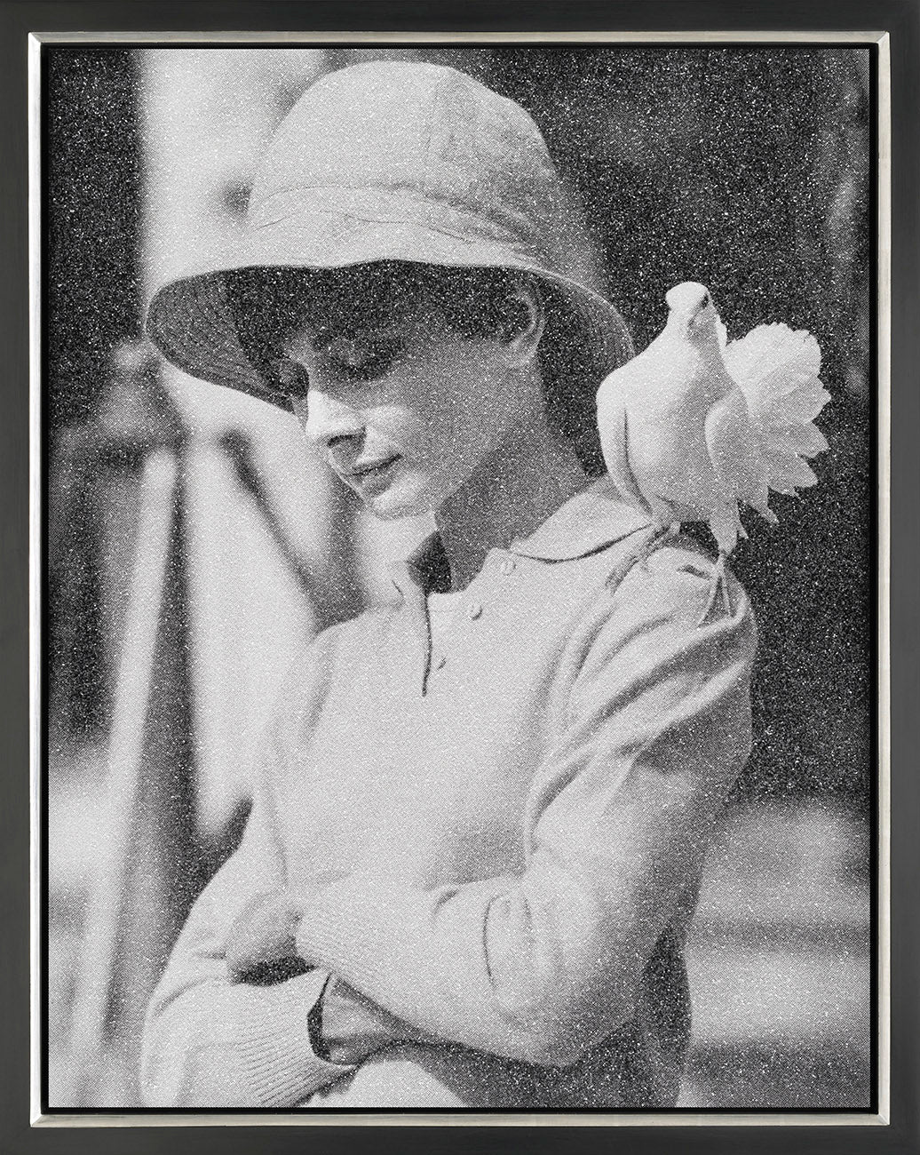 Hepburn With Dove FBC